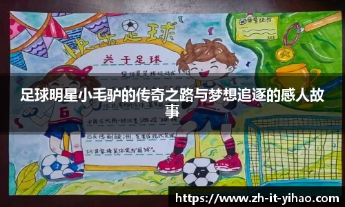 足球明星小毛驴的传奇之路与梦想追逐的感人故事
